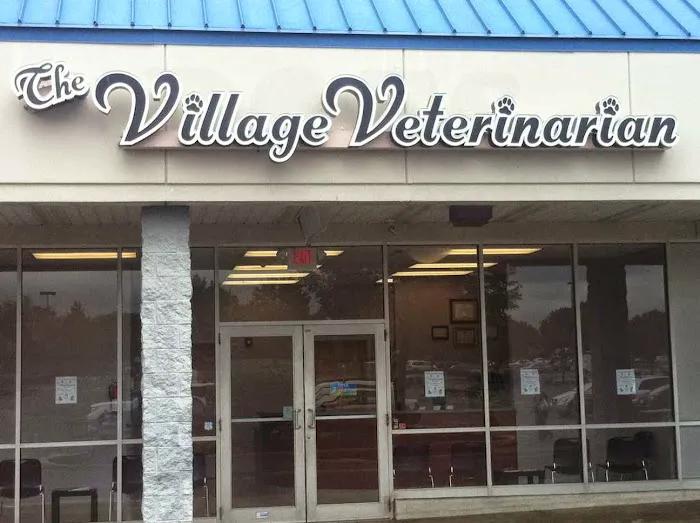 The Village Veterinarian Picture 6