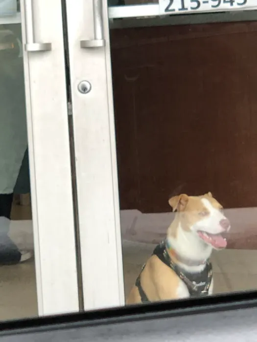 The Village Veterinarian Picture 7