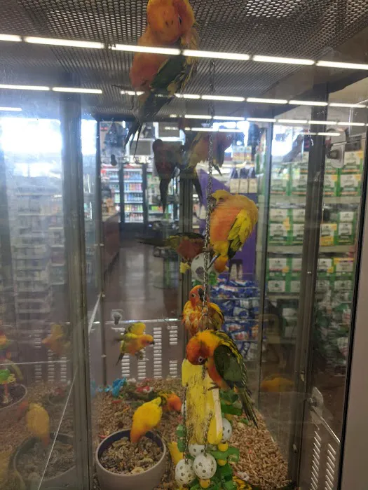 Petco Picture 8