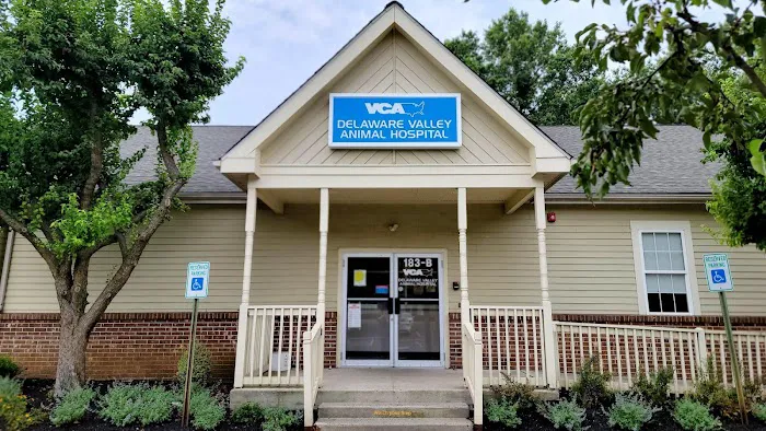 VCA Delaware Valley Animal Hospital Picture 1