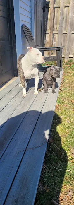 VCA Delaware Valley Animal Hospital Picture 5