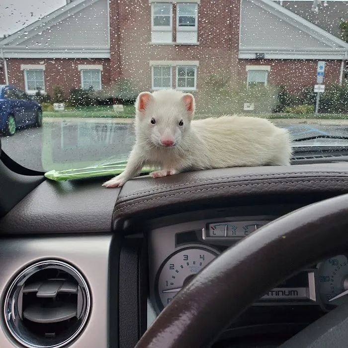 VCA Delaware Valley Animal Hospital Picture 6