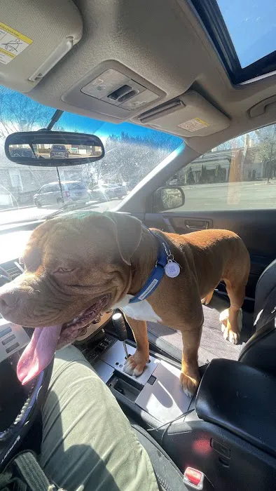 VCA Delaware Valley Animal Hospital Picture 7