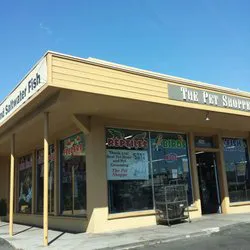 Pet Shoppe Picture 2