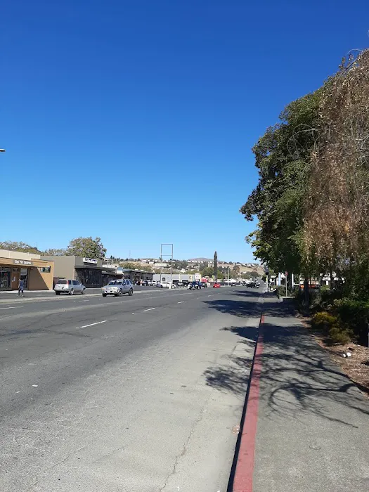 Pet Shoppe Picture 1