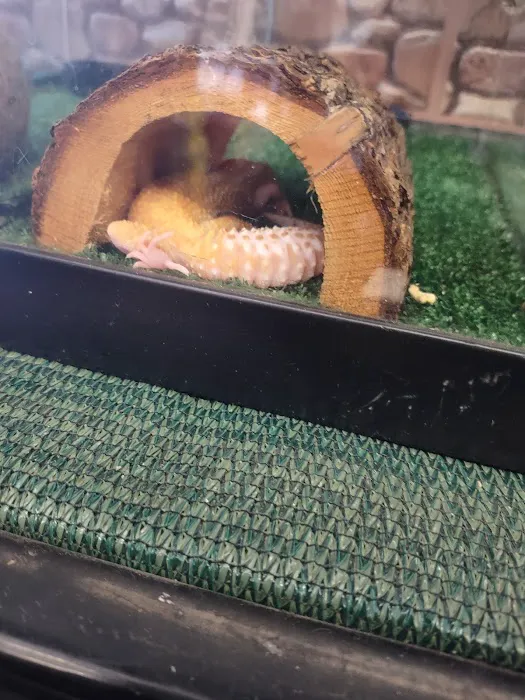 Pet Shoppe Picture 3