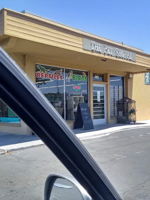 Pet Shoppe Picture 6