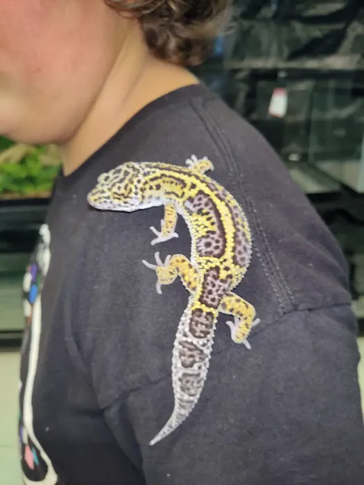 Pet Shoppe Picture 9