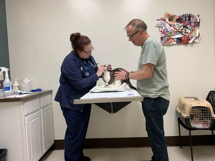 BluePearl Pet Hospital Picture 3