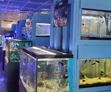Vallejo Aquarium
