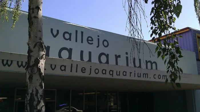 Vallejo Aquarium Picture 3