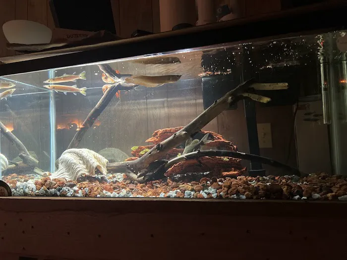 Vallejo Aquarium Picture 2