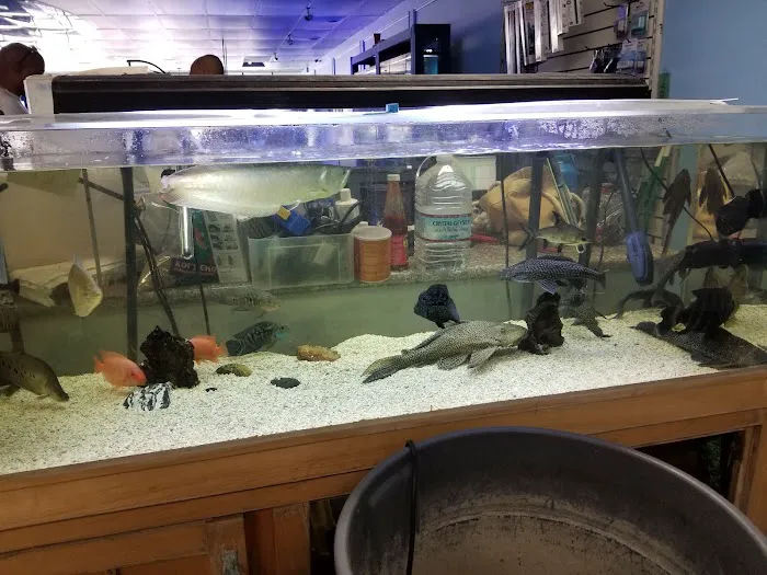 Vallejo Aquarium Picture 6