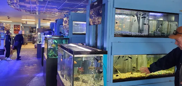 Vallejo Aquarium Picture 5