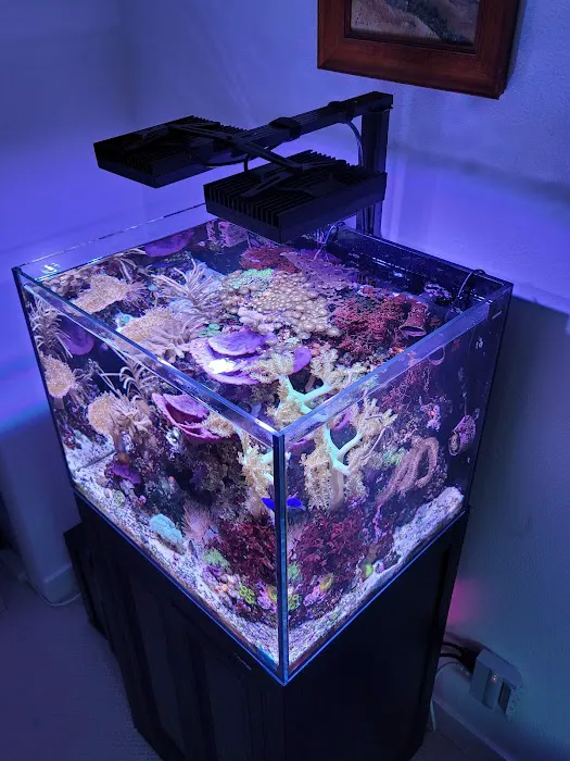 Vallejo Aquarium Picture 8