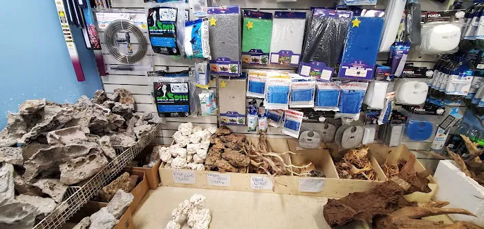 Vallejo Aquarium Picture 7