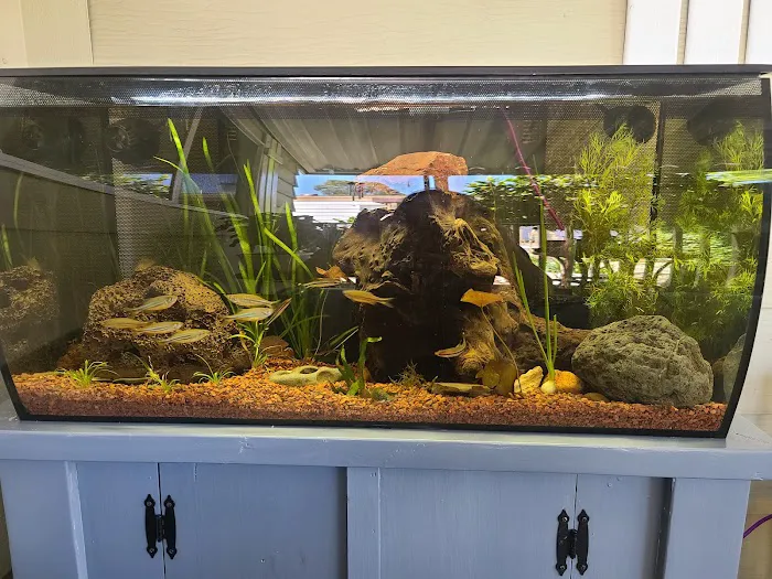 Vallejo Aquarium Picture 9