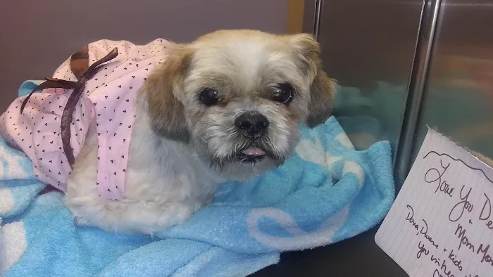 Bryan Animal Hospital Picture 1