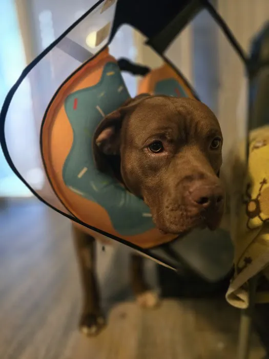 Bryan Animal Hospital Picture 2