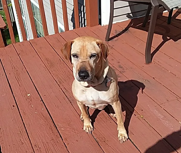 Bryan Animal Hospital Picture 6