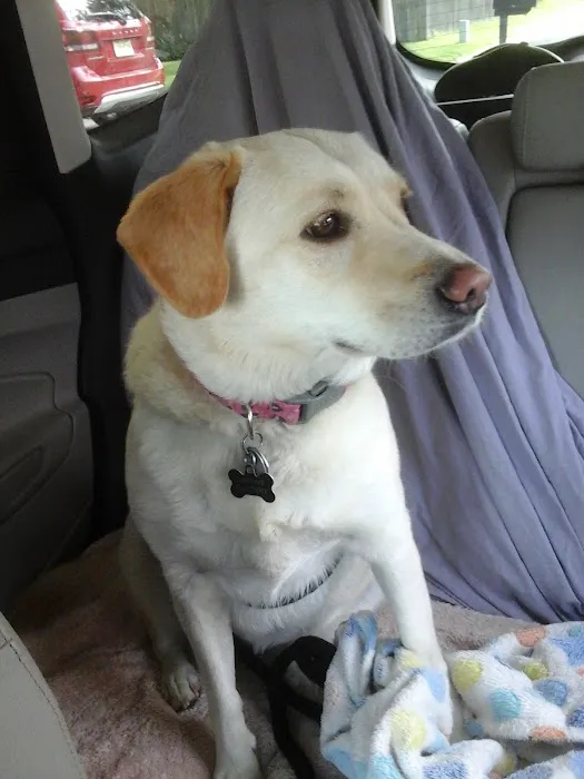 Bryan Animal Hospital Picture 7