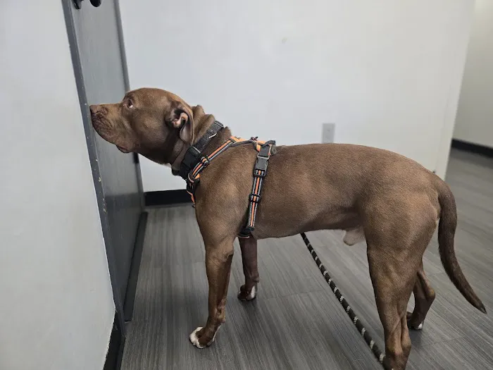 Bryan Animal Hospital Picture 9