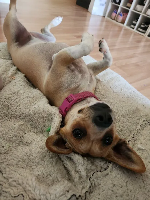 Petco Picture 2