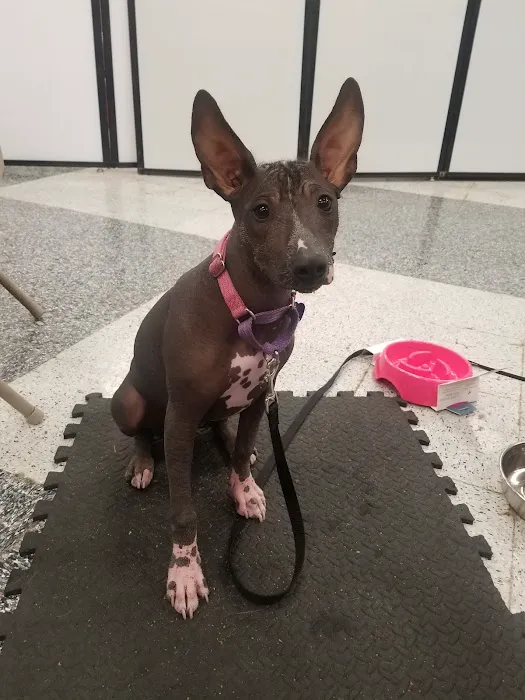 Petco Picture 7