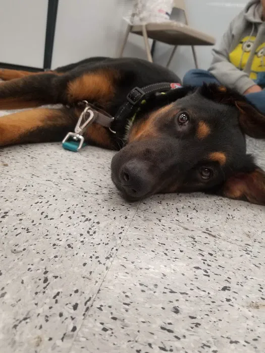 Petco Picture 6