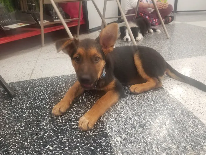 Petco Picture 9