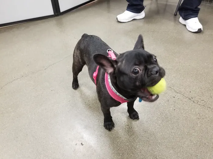 Petco Picture 10