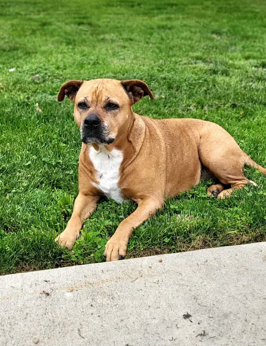 Pet's Best Friend Veterinary Hospital Picture 3