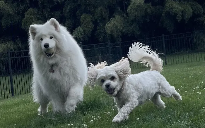 Pet's Best Friend Veterinary Hospital Picture 5