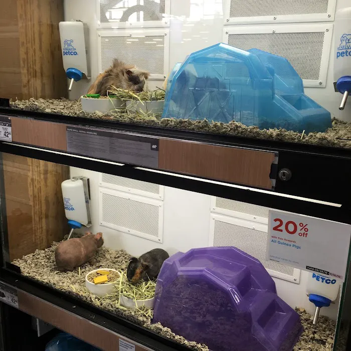 Petco Picture 3