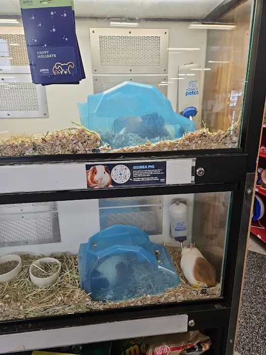 Petco Picture 6