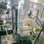 Red Hill Pet Center