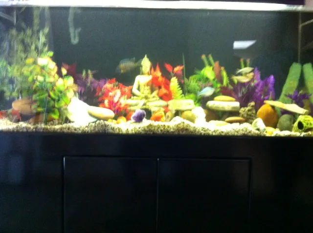 Red Hill Pet Center Picture 3