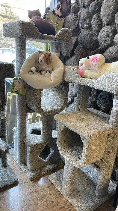 Pet Cottage Picture 3