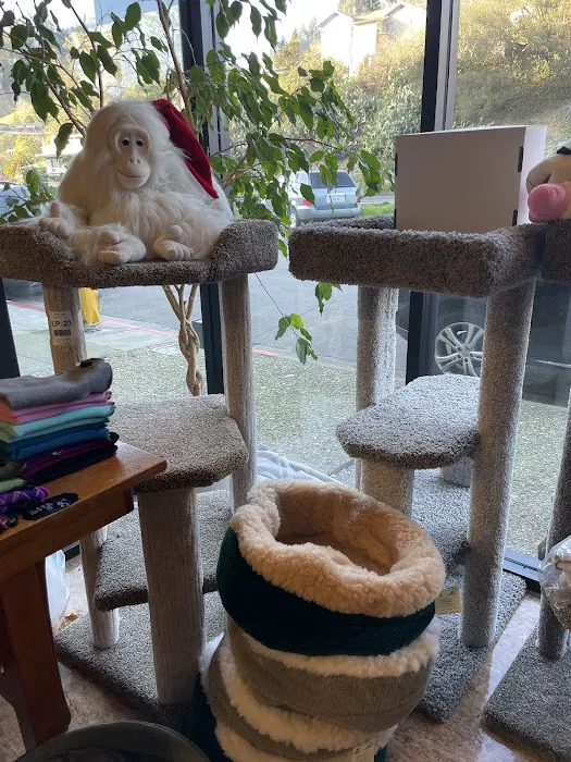 Pet Cottage Picture 6