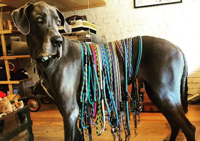 Patel Shailesh C DVM Picture 3