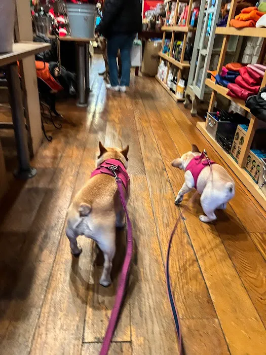 Patel Shailesh C DVM Picture 6