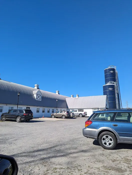 Peticote Veterinary Clinic, LLC Picture 1