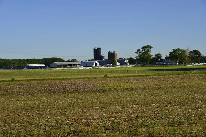 Peticote Veterinary Clinic, LLC Picture 3