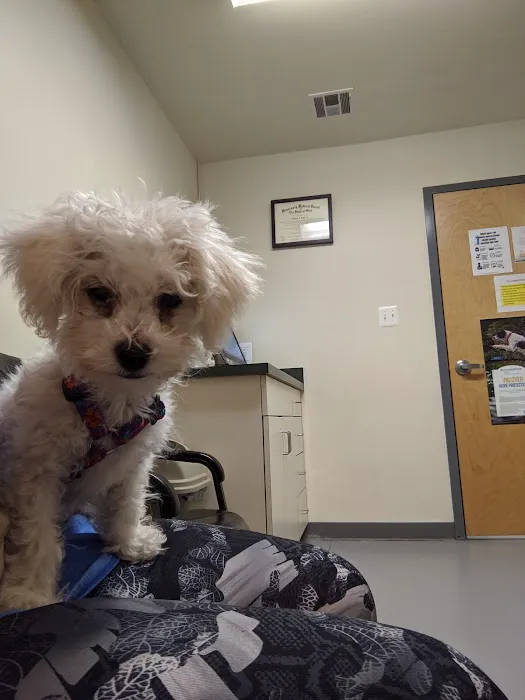 Peticote Veterinary Clinic, LLC Picture 5