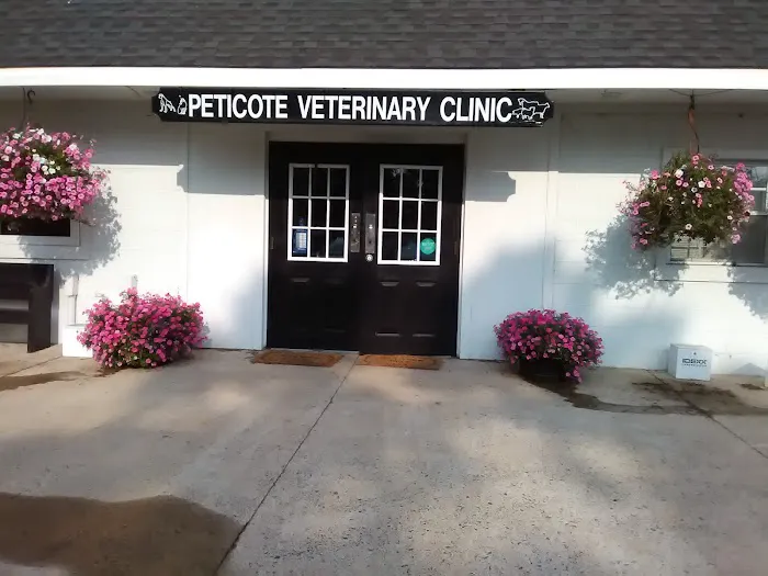 Peticote Veterinary Clinic, LLC Picture 7
