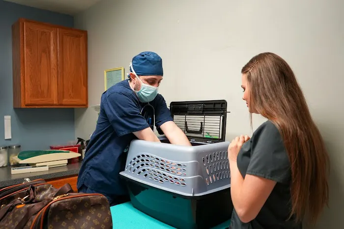 Ace of Spays: Optimizing Spay/Neuter Care Picture 1