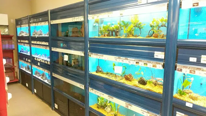 Petco Picture 4