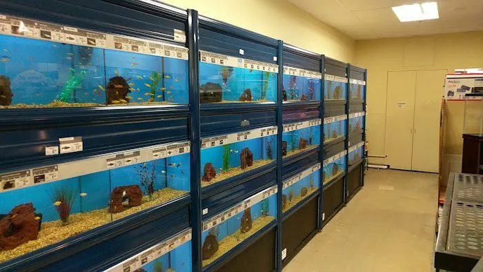 Petco Picture 6