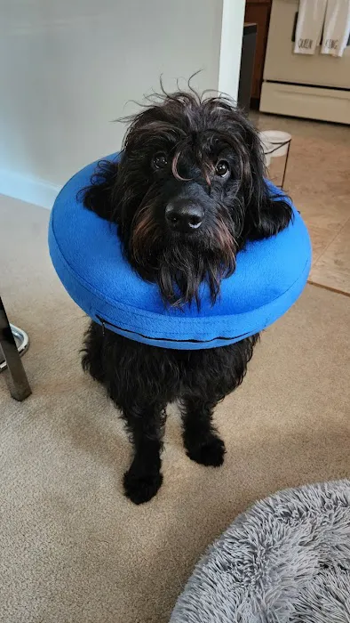 Veterinary Care Resources Picture 2