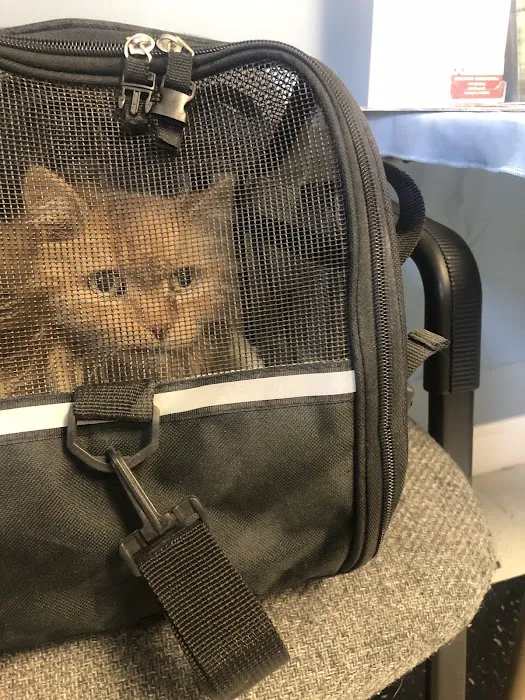 Veterinary Care Resources Picture 4